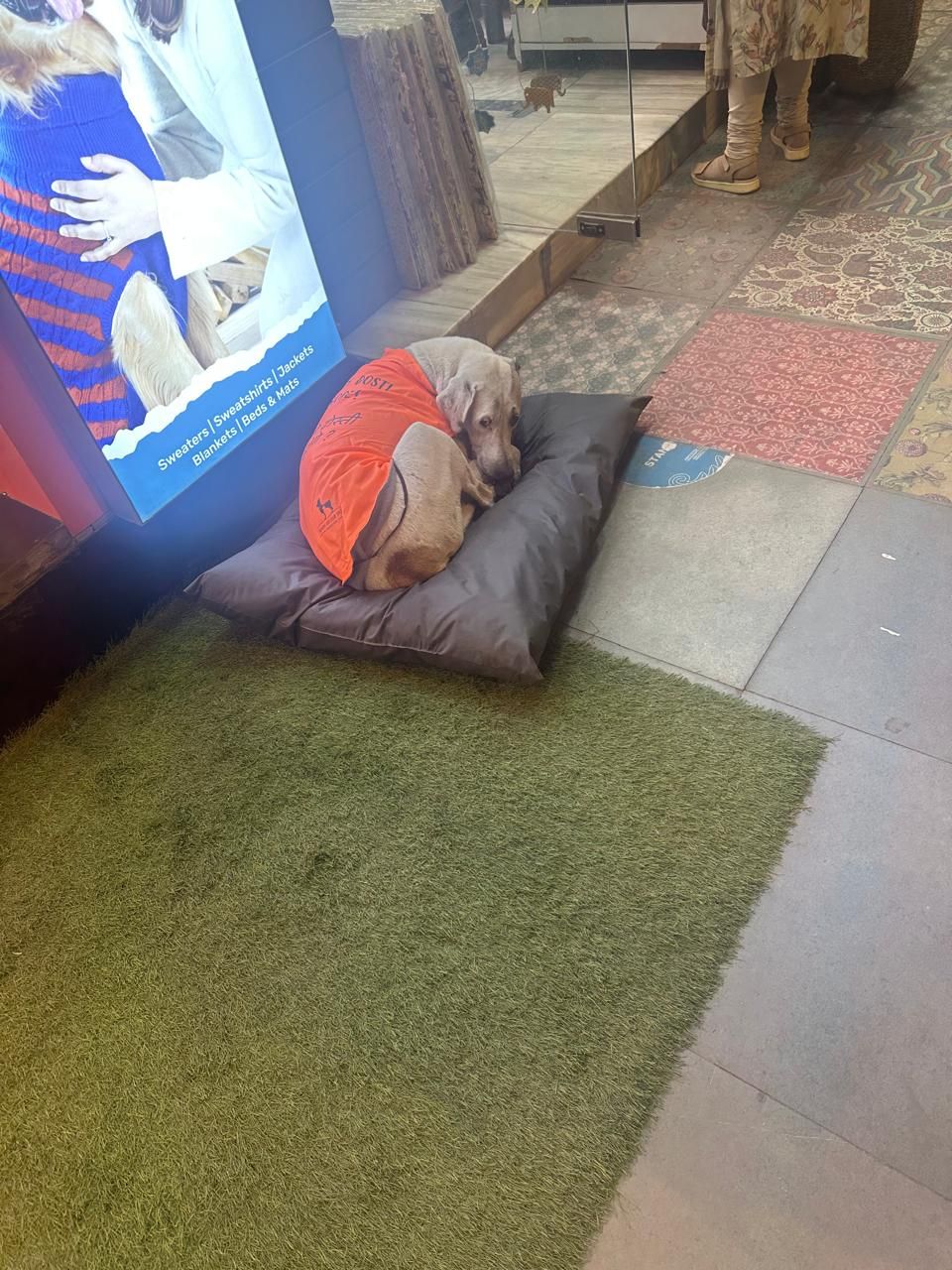 A meaningful initiative by&nbsp;HUFT